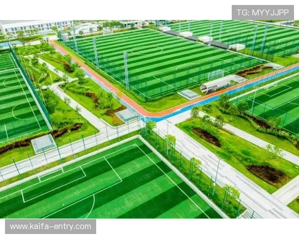 如何安全地访问凯发体育的网址以及用户体验