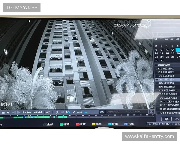 凯发在线登录入口引入智能验证系统，提升账户安全保障水平