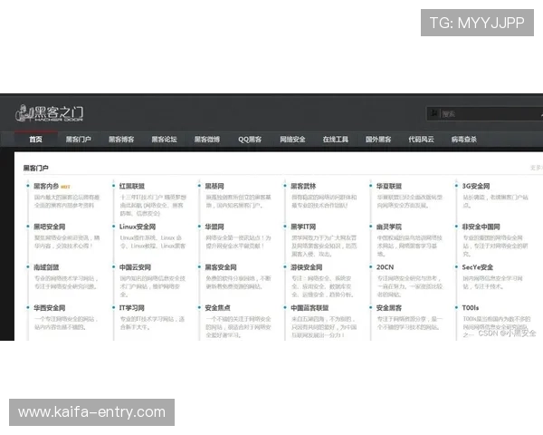 凯发线上官方网站下载网址安全可靠指南,保障玩家个人信息与游戏体验的双重安全 凯发线上官方网站下载网址安全可靠指南,保障玩家个人信息与游戏体验的双重安全